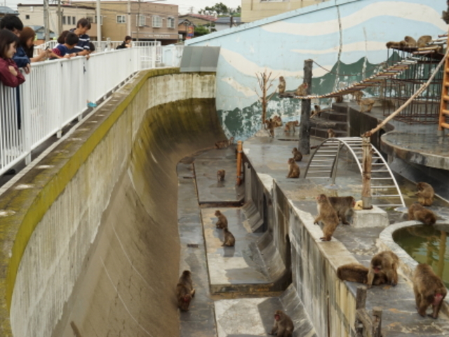 ���O�̃T���R�͎q���ɑ�l�C_���̐쉷��