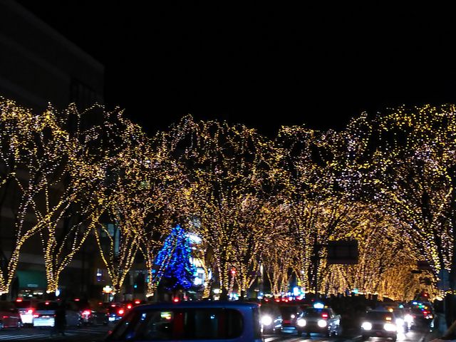 ؂̃C~l[VB
߂Ⴍa؂Ă܂B_Et܂