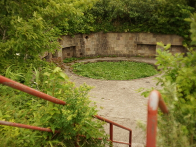 ��a�R���C��ՁA���S��_���َR