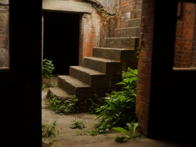 �퓬�w�ߏ��Ղ͂Ђ�����ƁA�Ȃ��Ȃ��̒T���C���𖡂킦�܂��B_���َR