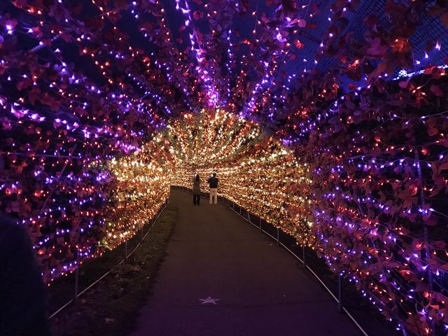 ���̃g���l��_�y���l�̐��n�z�A�p���]�[�g��z�����W�]��