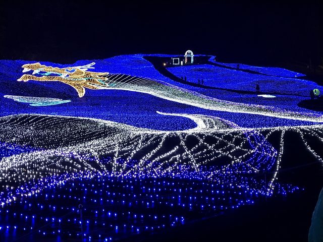 ����h���S���I_�y���l�̐��n�z�A�p���]�[�g��z�����W�]��