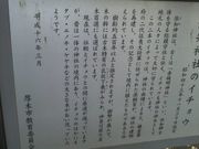 Ƃ񂳂̏˒m̃C`E̓eʐ^3