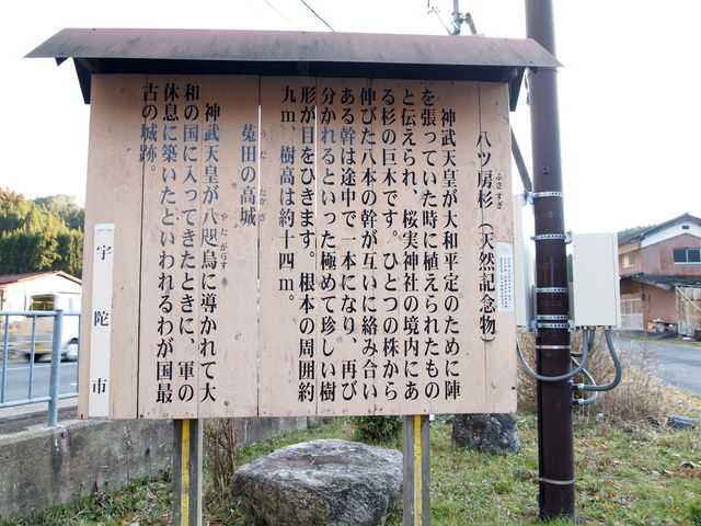 八つ房杉】アクセス・営業時間・料金情報 - じゃらんnet