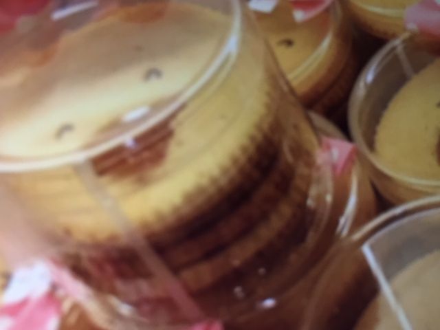 ptF̃uWF[REVmEAhEIlXgJtF̓eʐ^1