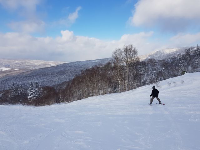 �n�C�V�[�Y���O�́A�Q�����f�Ɛ��ԁI_�L�����X�m�[���[���h