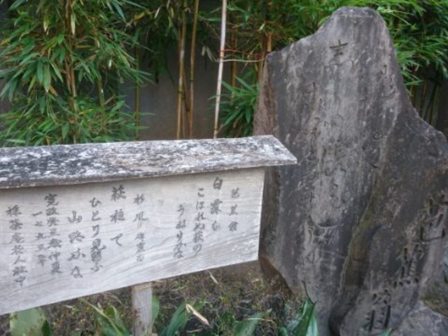 e񂳂̐^(]˘Zn)̓eʐ^3