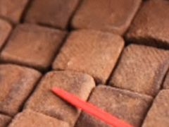 ptF̃GN`Aقuv{Xւ̓eʐ^1