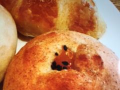 }J̃oPbgVlhnXւ̓eʐ^1