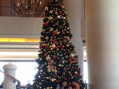 �q���g�����������̎ʐ^1