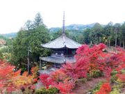 ���ڂ炳��̏�y���O�d���̓��e�ʐ^2