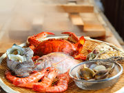 ݁[̊ۉhN@ׂՉws̓eʐ^9