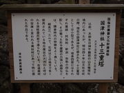 ˂񂳂̐Α\Od̓eʐ^2