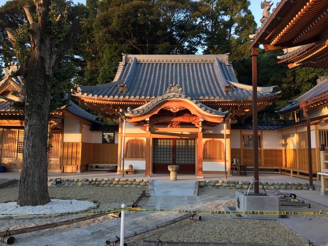 ��t��_���_�@