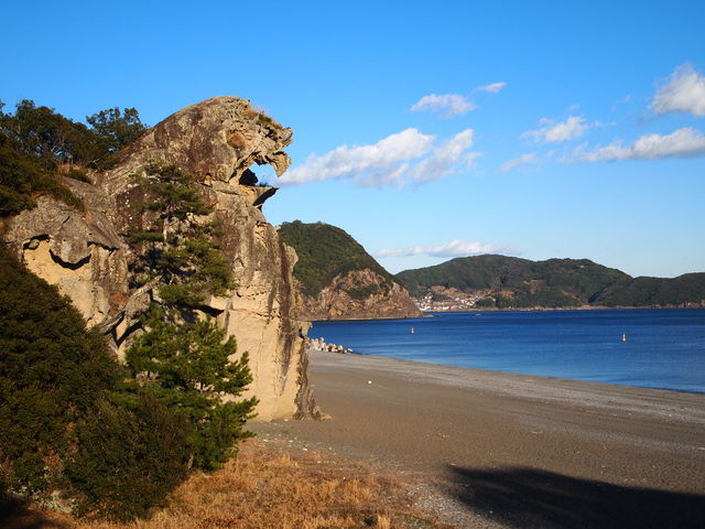 �S�̑�_���q��