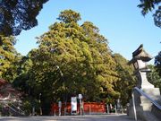 ����������񂳂�̈����̓��e�ʐ^1