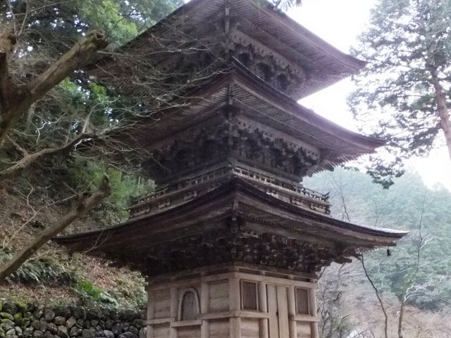 OdF̌̂悤ȑE@ׂ܂B_ER@