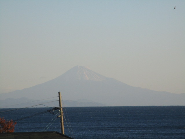 �x�m_��O�铔�䉺���