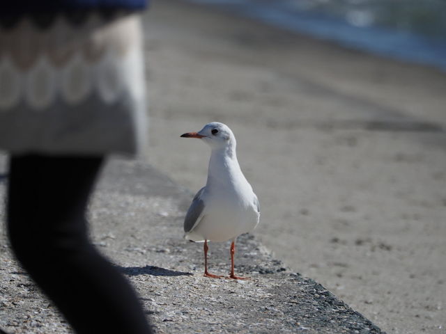 �J����_�|��