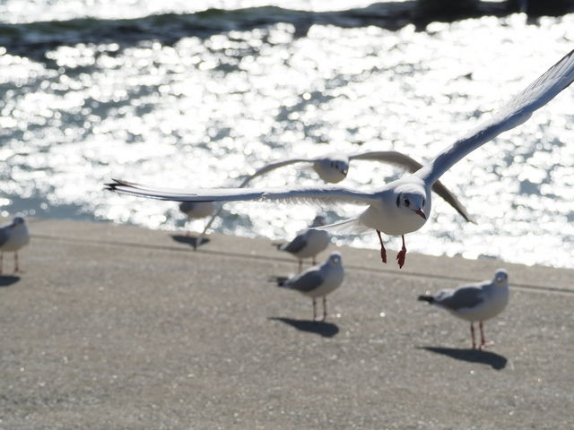 �J����_�|��