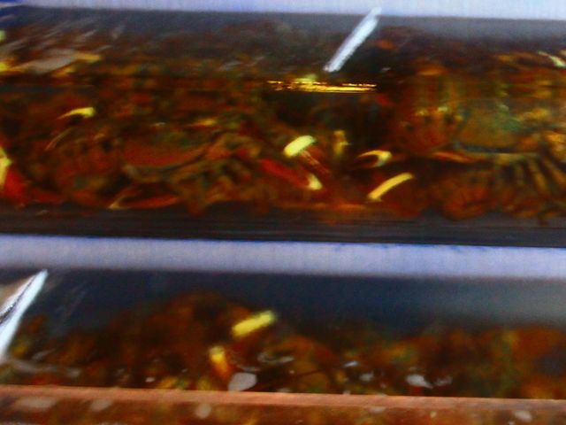 ̃bhuX^[ n֒X̓eʐ^1