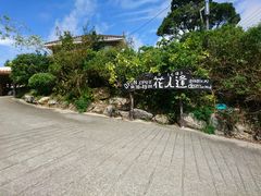 rr̃sUi@Ԑlւ̓eʐ^1