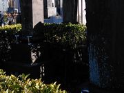 ܂炳̈ύւ̓̕eʐ^2