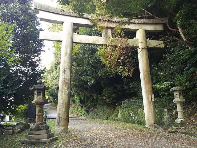 ܂[񂳂̐ΐ{m̓eʐ^1