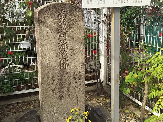 ܂[񂳂̗^sq̓̕eʐ^1