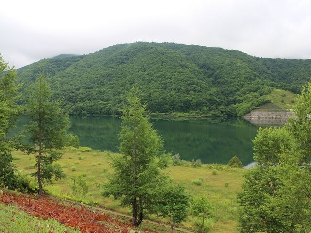 �U���H������܂�_�I�^���i�C��