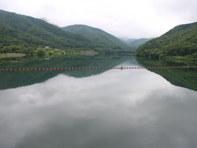 �_����_�I�^���i�C��