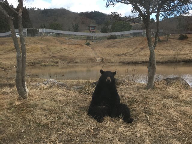 �������N�}����_�H�g�䎩�R���������T�t�@�������h