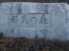 cJ擙X͂̏Zl̞ws̐Xւ̓eʐ^1