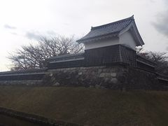 �܂�[�񂳂�̏�����������ւ̓��e�ʐ^1