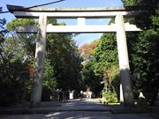 ܂[񂳂̐ΐ{Om̓eʐ^1