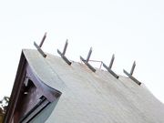 ���ڂ炳��̋Ɋy���̓��e�ʐ^3