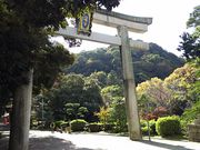 ܂[񂳂̐ΐ{m̓eʐ^1