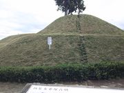 ܂[񂳂̕WԒˌÕΒn̓eʐ^1