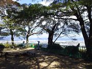 ܂[񂳂̒jRW]̓eʐ^1