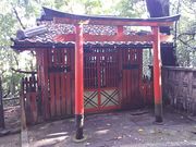 ܂[񂳂̑׎Ђ̓eʐ^1