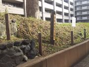 ܂[񂳂̊Jcyی̓eʐ^1