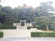 ܂[񂳂̊Vcc@˂̓eʐ^1