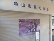 gV[́iЁjTRsό̓eʐ^1