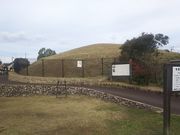 ܂[񂳂̍ˌÕ̓eʐ^1