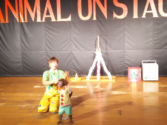 Ŕ(?)̃Ig_ߐ{[hL[p[N