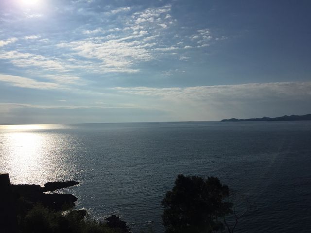 ��K�̓W�]�䂩��̒��]�͑f���炵���ł��B_���̉w �����|�e�g�n�E�X�]�z