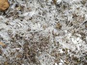 ܂Ȃ܂܂̓΂̑̓eʐ^5