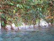 KAZZ̑V VC R̉Ƃ̓eʐ^1