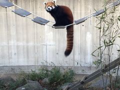 ݁[܂܂̂ƂܐAւ̓eʐ^1