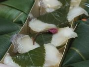 ݁[܂܂̂J{ܓ厛X̓eʐ^2